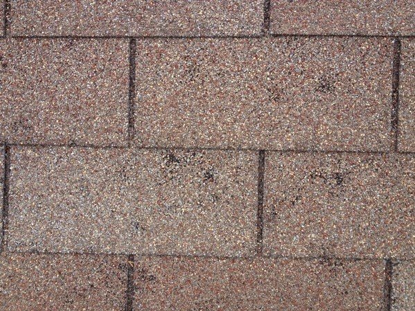Damaged Asphalt Shingles Discovered During a Roof Inspection In Jackson MS.

Roof Inspection In Ridgeland MS