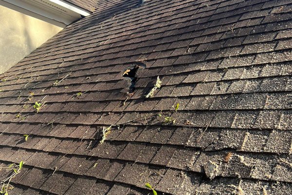 Damaged Roof Shingles | True Roofing & Contracting | Jackson, Mississippi Roof Repair Contractors In Ridgeland MS